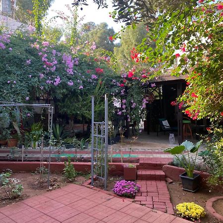 Betul Guest House Famagusta  Exterior photo
